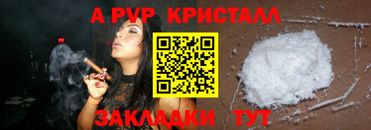 Альфа ПВП СК КРИС Балтийск
