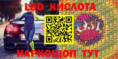 СК Канаш