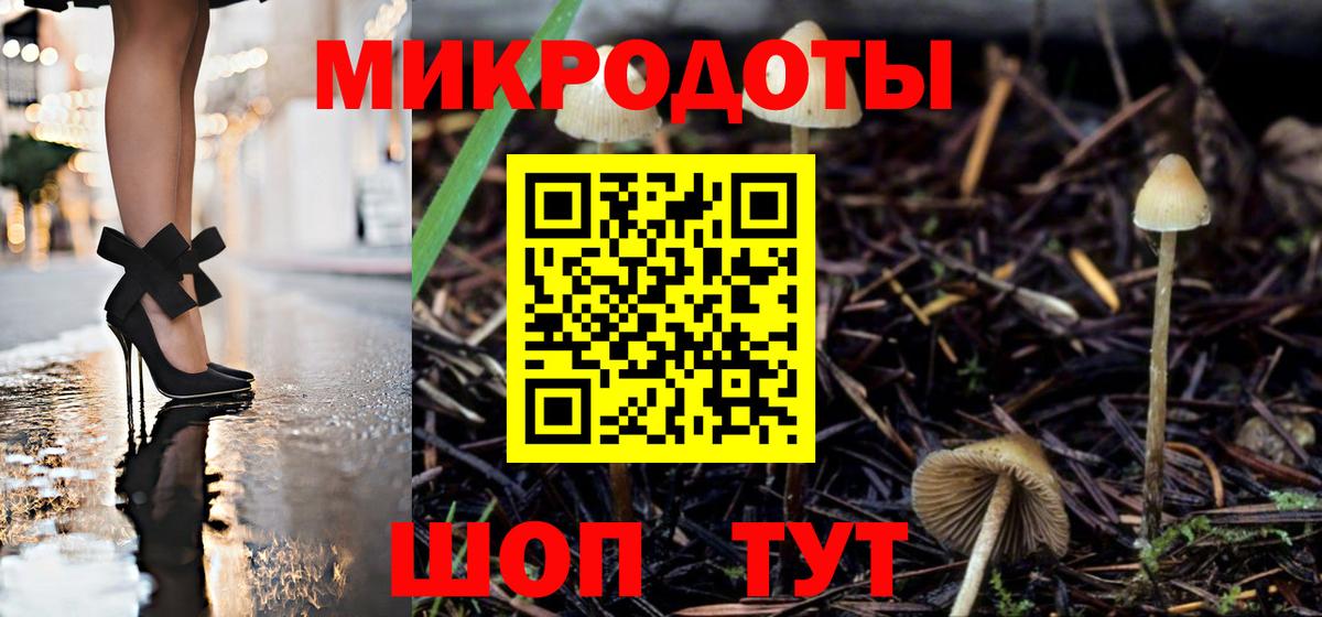 Галлюциногенные грибы мухоморы Балтийск